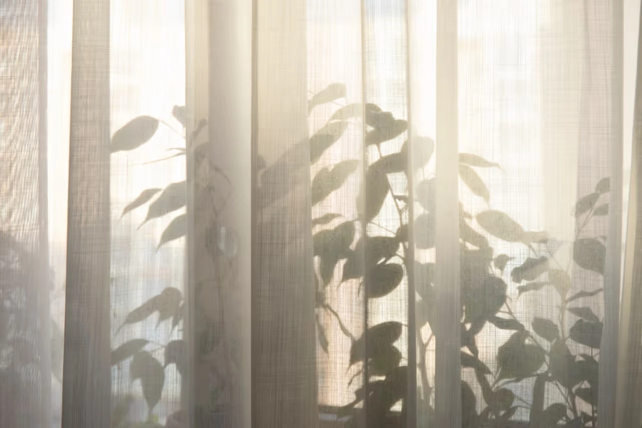 Herzog – Immobilien – Zimmerpflanzen wachsen auf der Fensterbank durch den Vorhang und bilden Silhouetten.